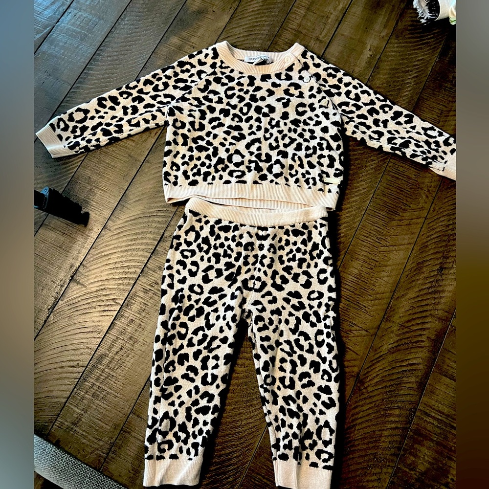 Posh Peanut Leopard Print Sweater Set